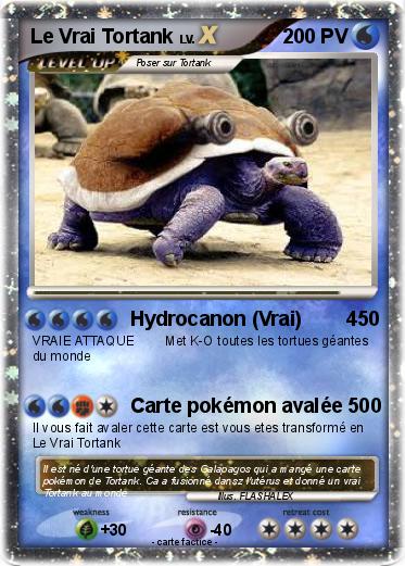 Pokemon Le Vrai Tortank