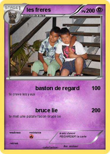 Pokemon les freres