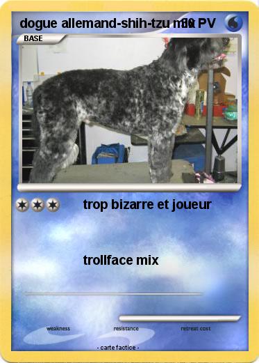 Pokemon dogue allemand-shih-tzu mix