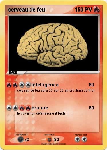 Pokemon cerveau de feu 