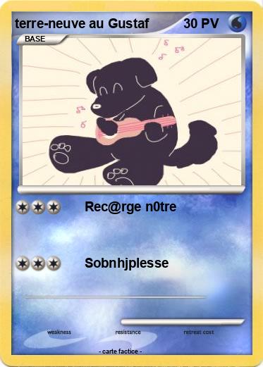 Pokemon terre-neuve au Gustaf