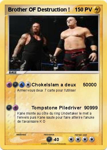 Pokemon Brother OF Destruction !