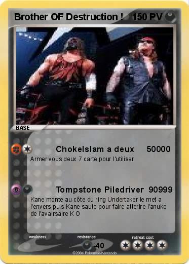 Pokemon Brother OF Destruction !