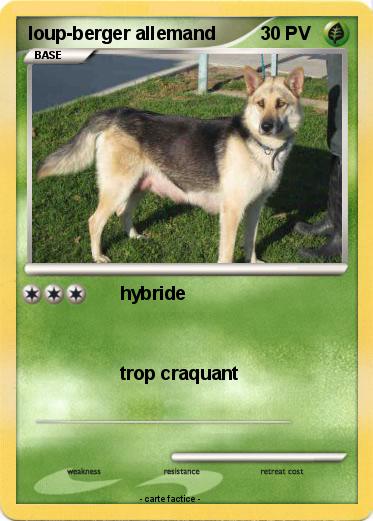 Pokemon loup-berger allemand