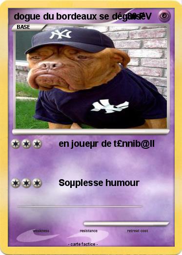 Pokemon dogue du bordeaux se déguisé