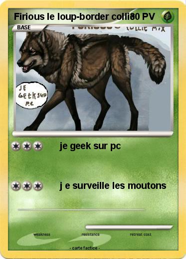 Pokemon Firious le loup-border collie