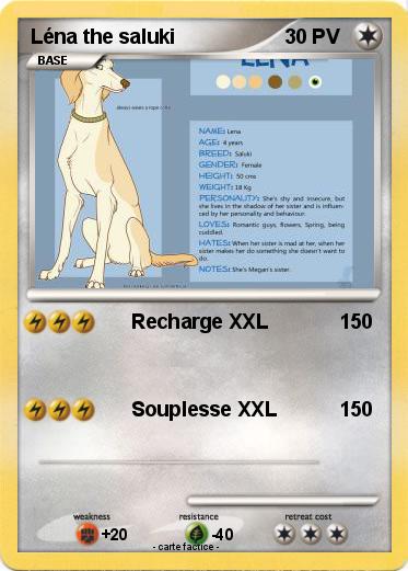 Pokemon Léna the saluki