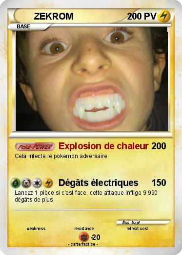 Pokemon ZEKROM