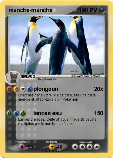 Pokemon manche-manche