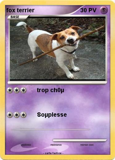 Pokemon fox terrier