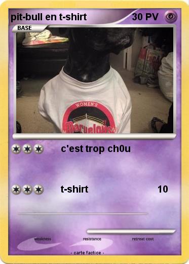 Pokemon pit-bull en t-shirt