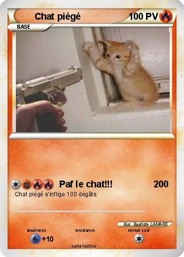 Pokemon Chat piégé