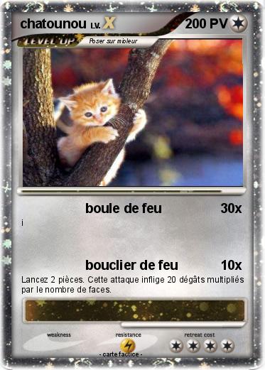 Pokemon chatounou