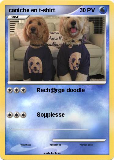 Pokemon caniche en t-shirt
