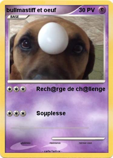 Pokemon bullmastiff et oeuf