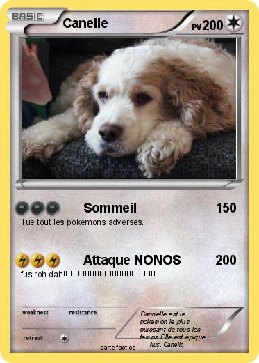 Pokemon Canelle