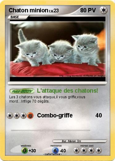 Pokemon Chaton minion