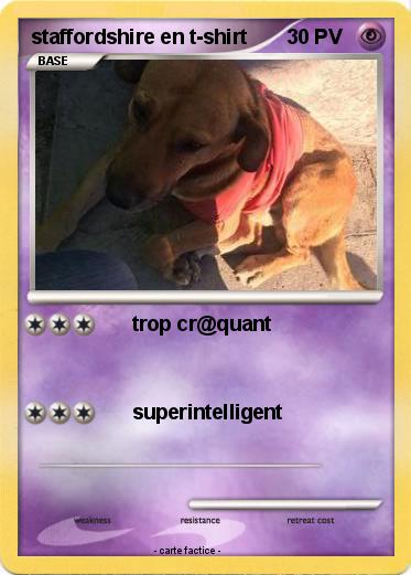 Pokemon staffordshire en t-shirt