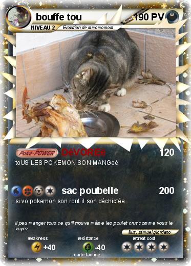 Pokemon bouffe tou