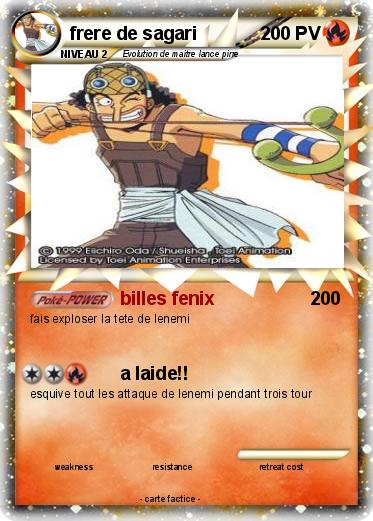 Pokemon frere de sagari