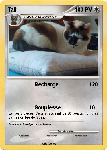 Pokemon Tali