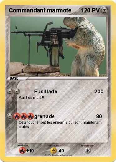 Pokemon Commandant marmote