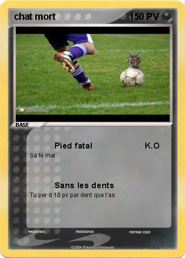 Pokemon chat mort