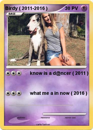 Pokemon Birdy ( 2011-2016 )