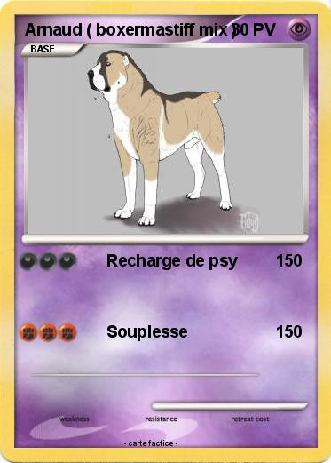 Pokemon Arnaud ( boxermastiff mix )