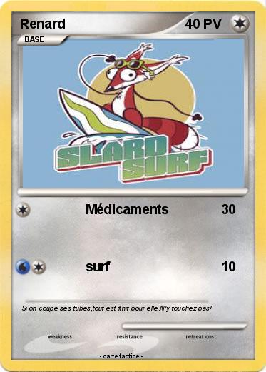 Pokemon Renard