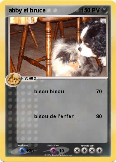 Pokemon abby et bruce