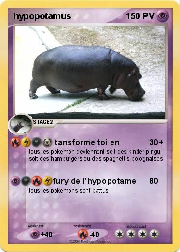 Pokemon hypopotamus