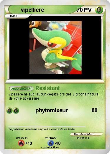 Pokemon vipelliere