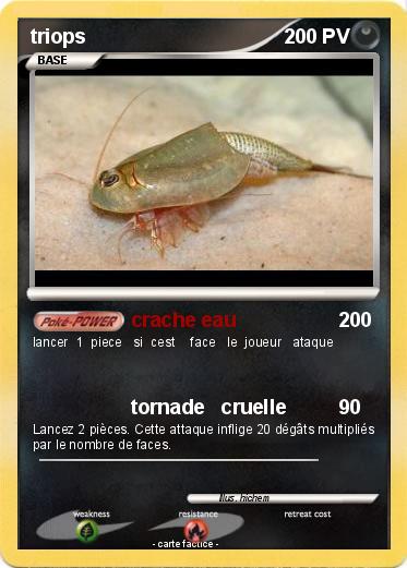 Pokemon triops