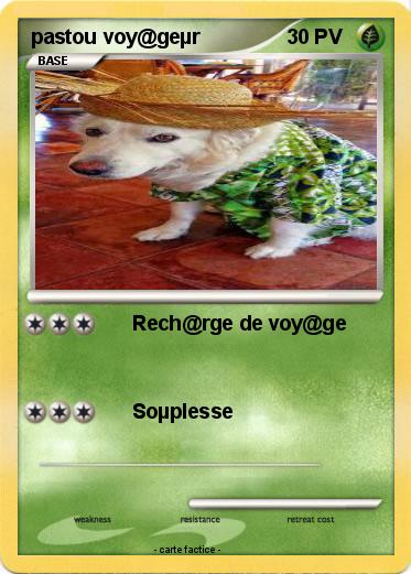 Pokemon pastou voy@geµr