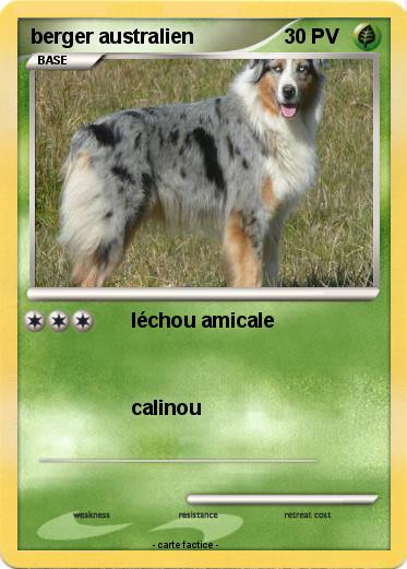 Pokemon berger australien