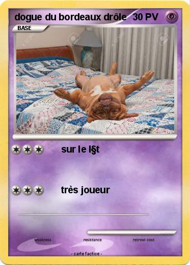 Pokemon dogue du bordeaux drôle