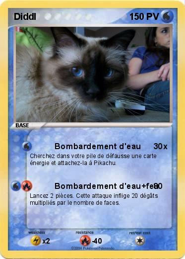 Pokemon Diddl