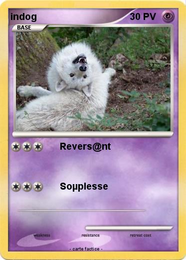 Pokemon indog