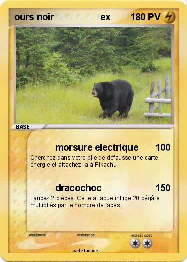 Pokemon ours noir                  ex