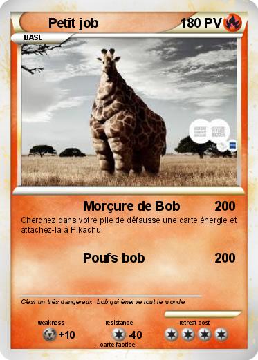 Pokemon Petit job