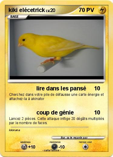 Pokemon kiki elécetrick