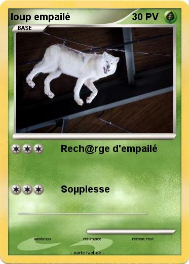 Pokemon loup empailé