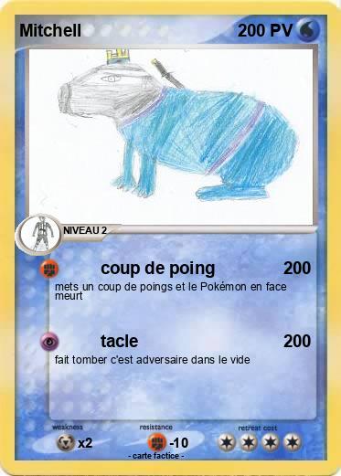 Pokemon Mitchell
