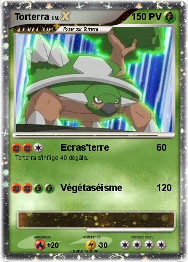 Pokemon Torterra