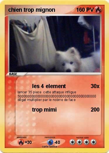 Pokemon chien trop mignon