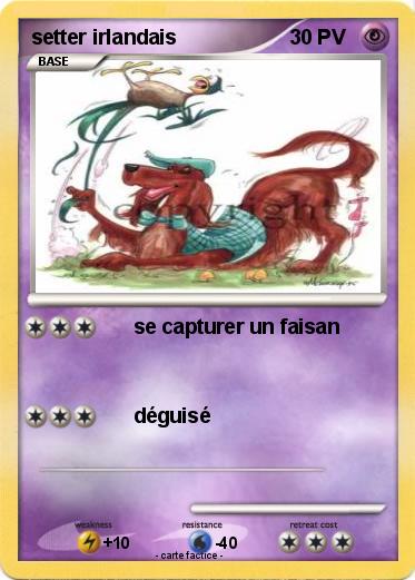 Pokemon setter irlandais