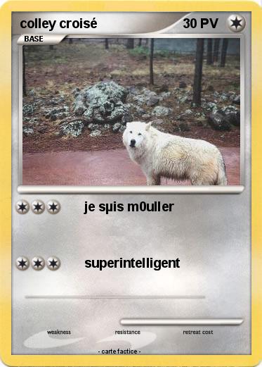 Pokemon colley croisé