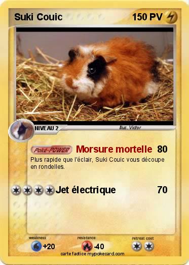Pokemon Suki Couic