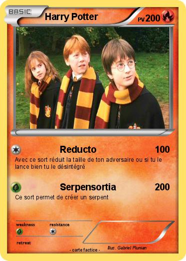 Pokemon Harry Potter